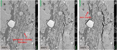 Temperature-Driven Hydrocarbon Generation-Expulsion and Structural Transformation of Organic-Rich Shale Assessed by in situ Heating SEM